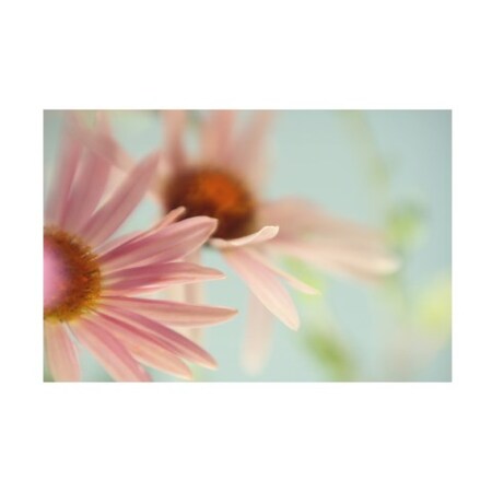 Trademark Fine Art Judy Stalus 'Daisy Days' Canvas Art, 30x47 IC02420-C3047GG